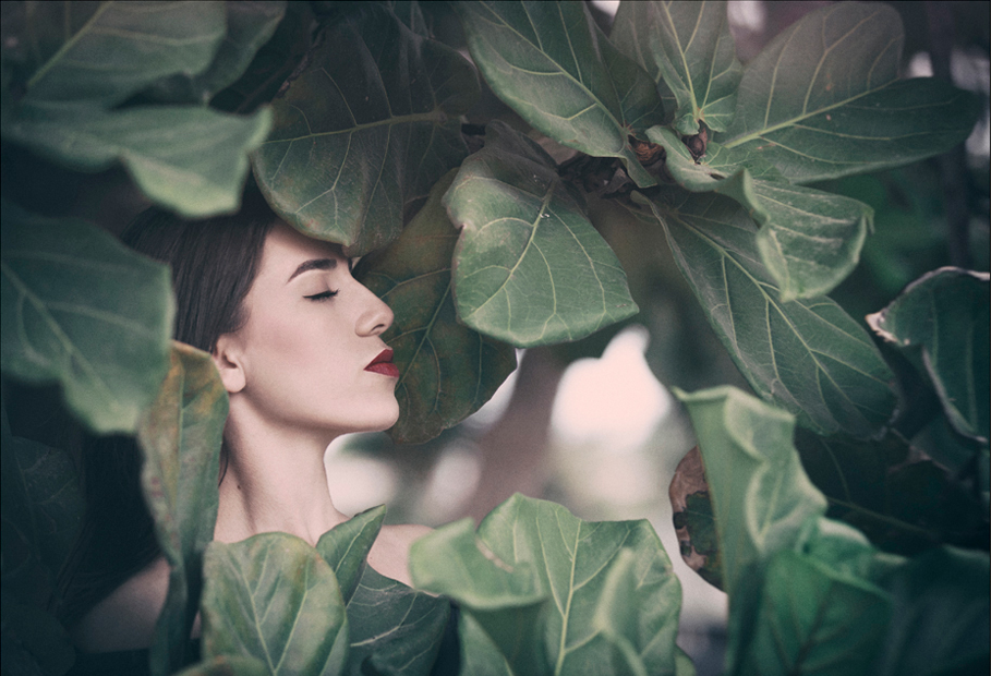 國(guó)際人體攝影教程