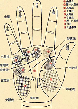 手相怎么看男士-男人手相圖解大全