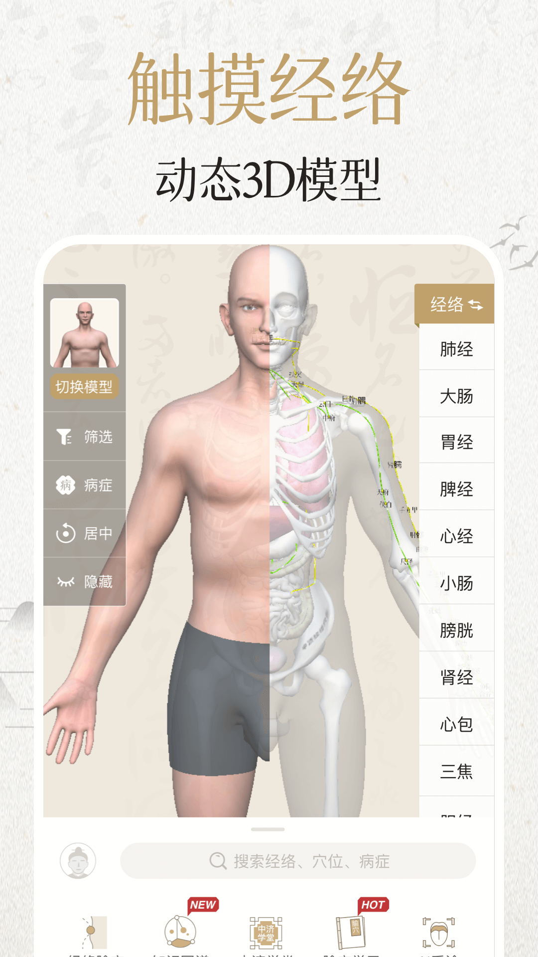 中濟(jì)經(jīng)絡(luò)穴位APP下載-中濟(jì)經(jīng)絡(luò)穴位APP最新版下載2.9.1