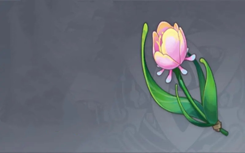 原神虹彩薔薇在哪里采集