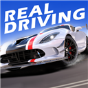 真實公路汽車2手機版