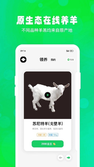 飛扣牧場app下載-飛扣牧場手機版下載v1.1.0