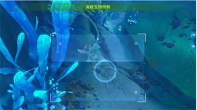 原神水下沉落物位置在哪-原神水下沉落物位置介紹一覽