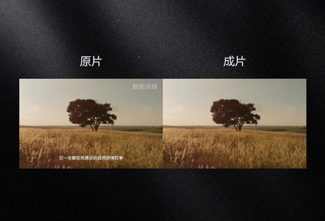 智能自動去除水印或字幕