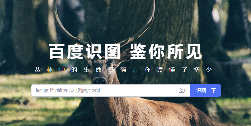 免費通過AI技術精準識別圖片來源-在線ai識別圖片工具