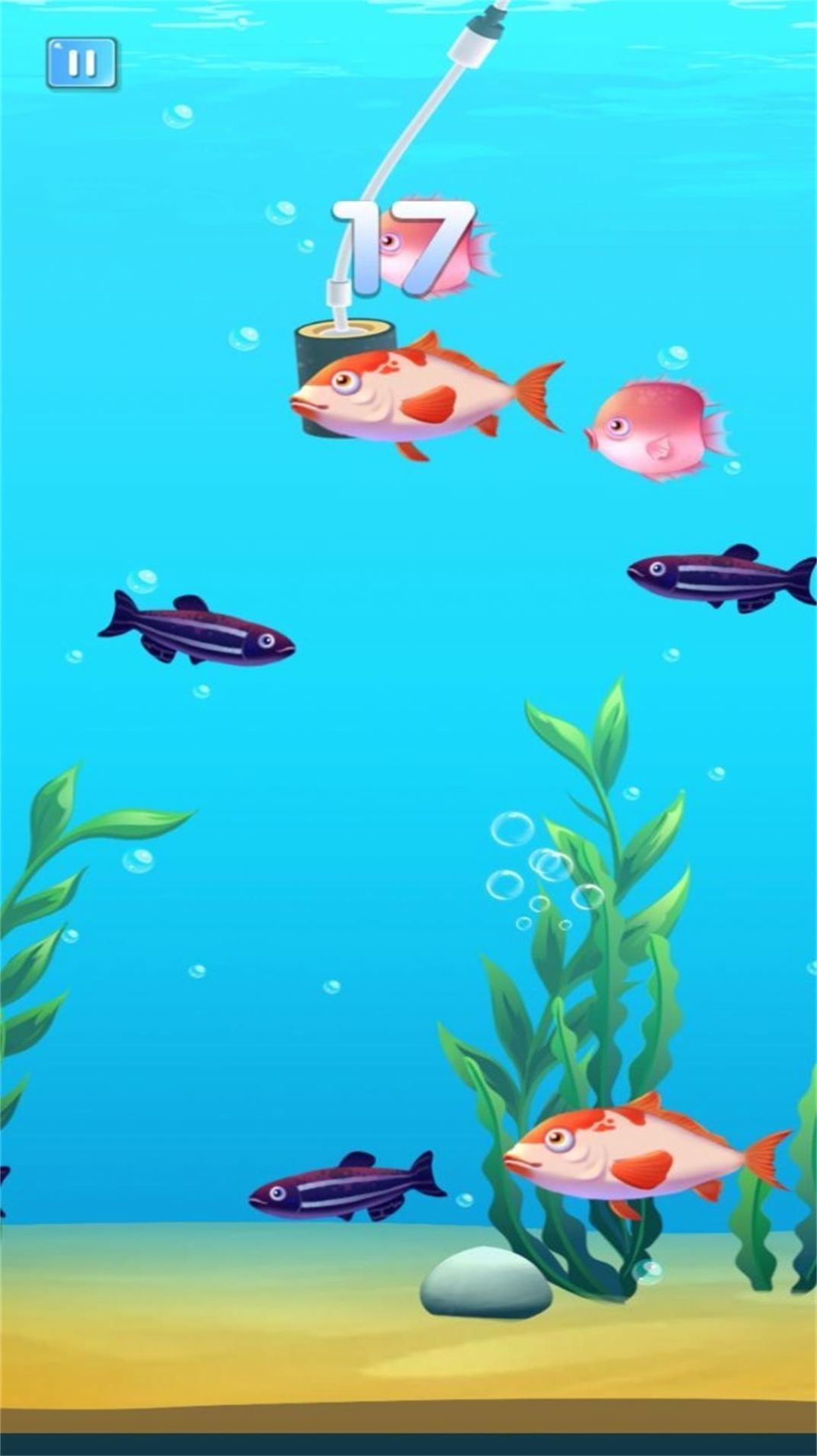 魚之王者之路