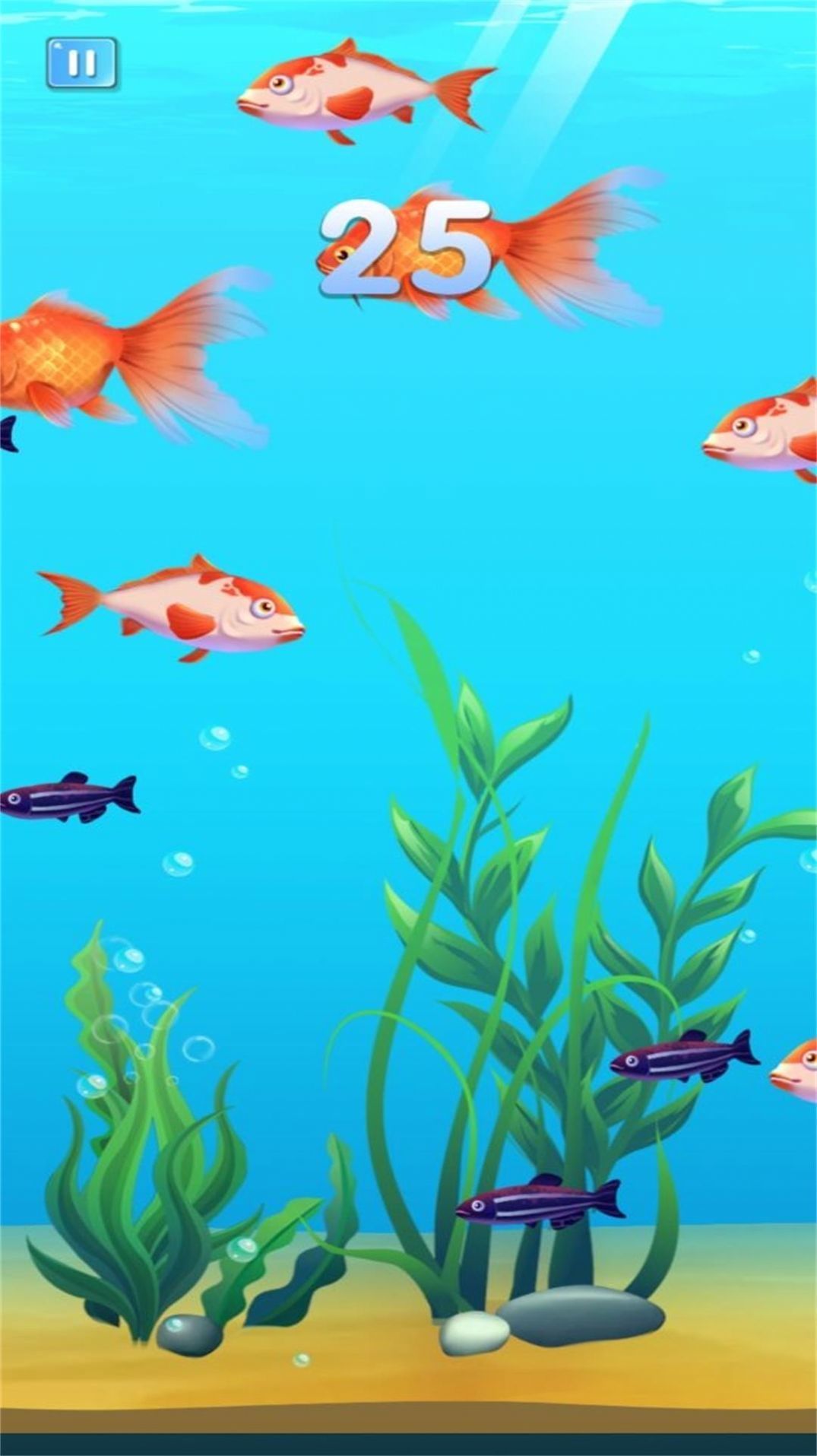 魚之王者之路