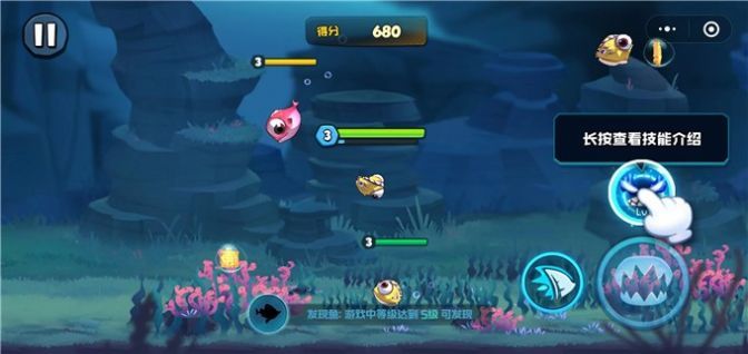 大魚總動員