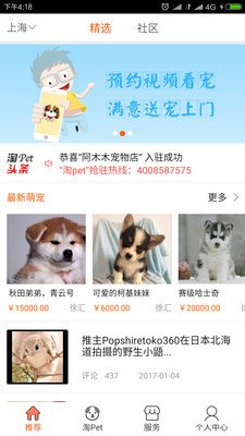 淘寵網