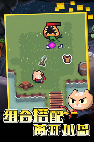 回家的貓