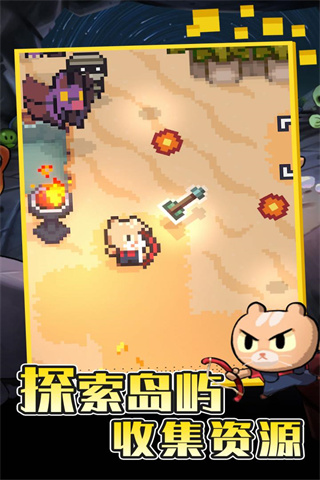 回家的貓
