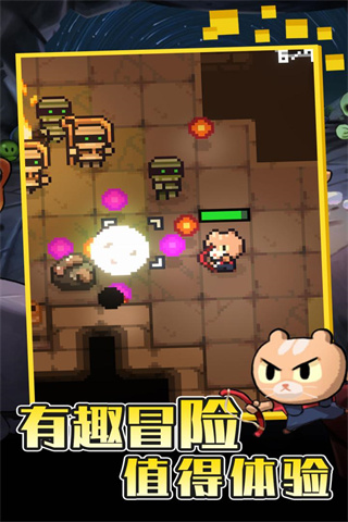 回家的貓