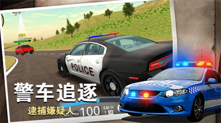 警察行動(dòng)