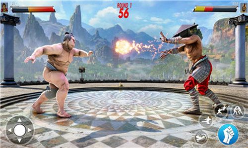 空手道格斗武術(shù)