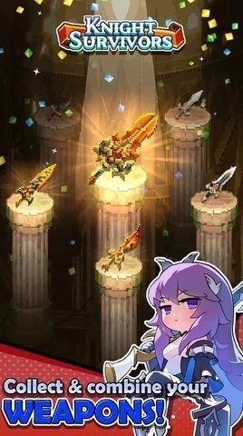 騎士之星