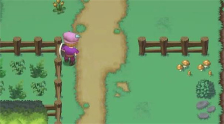 雨葉島傳說內置菜單版