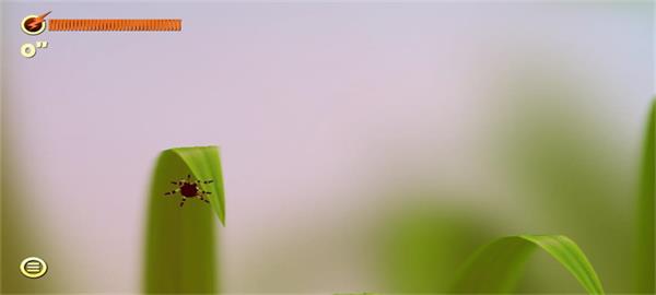 蜘蛛的冒險(xiǎn)中文版