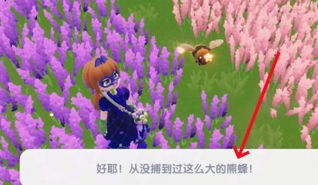 心動小鎮幽光章魚在哪里釣-心動小鎮幽光章魚捕獲方法一覽 心動小鎮幽光章魚在哪里釣-心動小鎮幽光章魚捕獲方法一覽