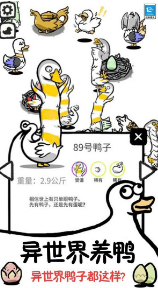 鴨了個(gè)鴨紅包版