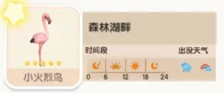 心動小鎮小火烈鳥在哪-心動小鎮小火烈鳥位置及時間攻略 心動小鎮小火烈鳥在哪-心動小鎮小火烈鳥位置及時間攻略