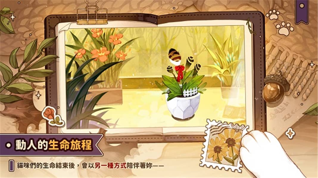 貓逝中文版