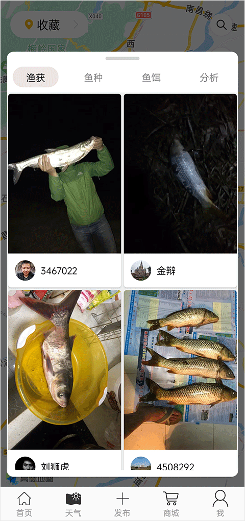 漁獲