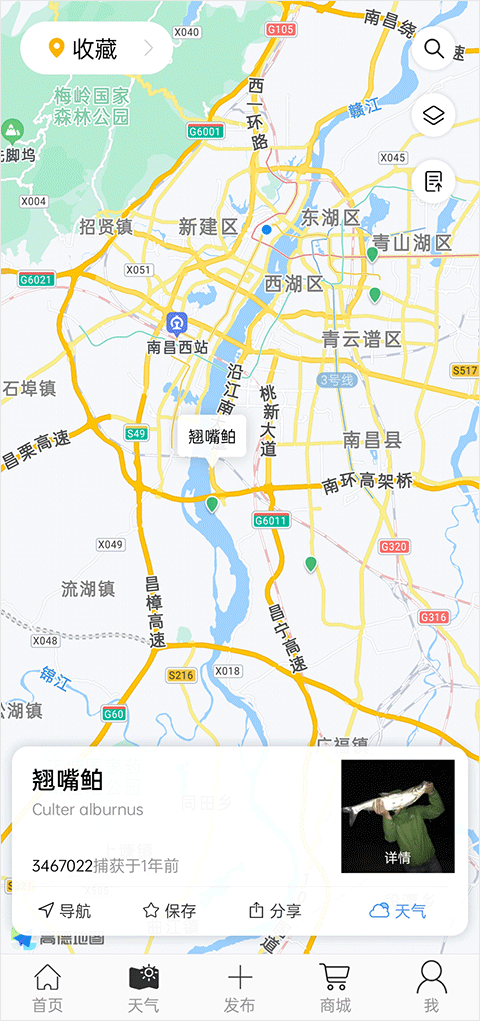 漁獲