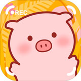 美食家小豬的大冒險(xiǎn)無限果實(shí)版