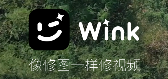 wink app怎么去水印