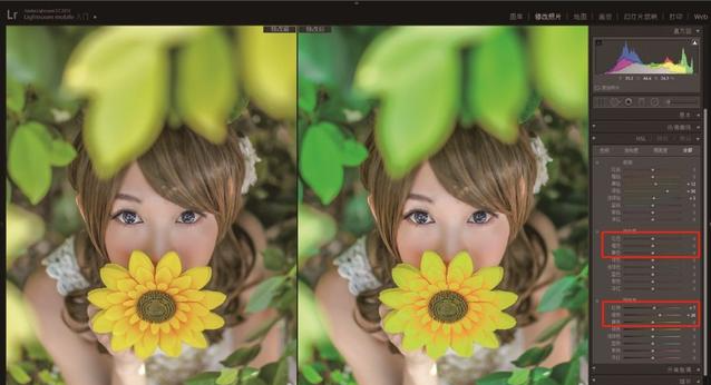 lightroom怎么調局部光亮-lightroom調局部光亮的方法