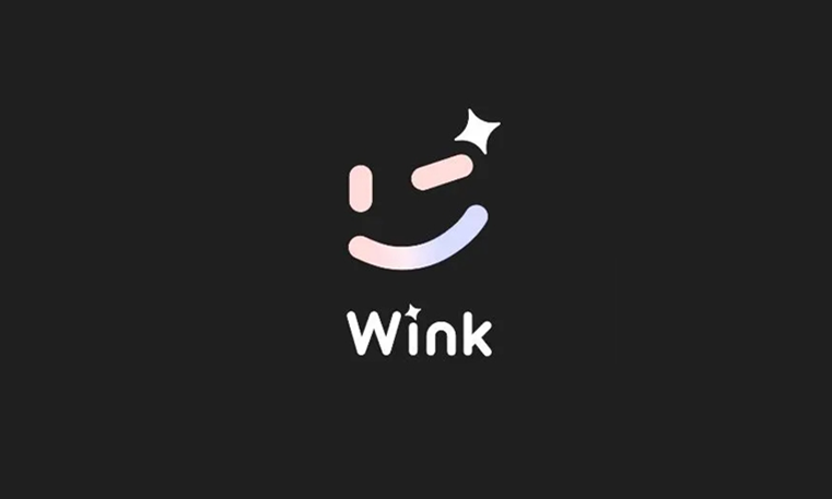 wink軟件怎么人物跟蹤