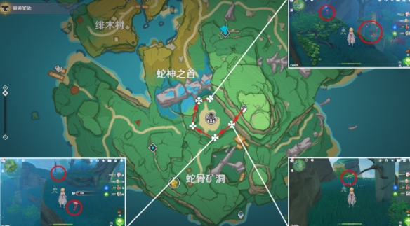 原神4.5血斛采集地點在哪-原神4.5血斛采集路線一覽