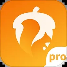 堅果隱藏pro版