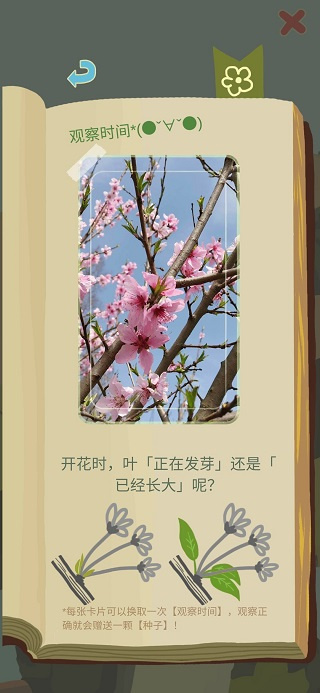 老農種樹內置菜單最新版