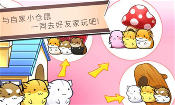 倉(cāng)鼠的日常無(wú)限金幣奶酪版