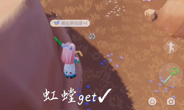 心動(dòng)小鎮(zhèn)如何捕蟲-心動(dòng)小鎮(zhèn)捕蟲攻略