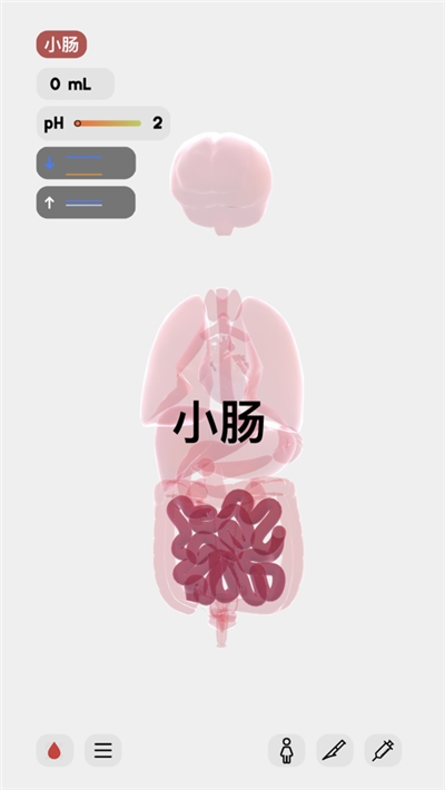 生命人體模擬器