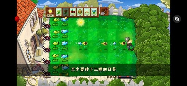 植物大戰僵尸活死人之園