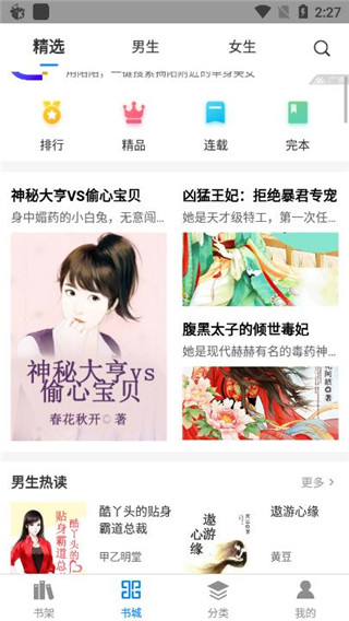 皮皮小說正式版