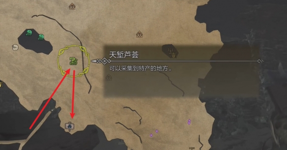 怪物獵人荒野營(yíng)地在哪-怪物獵人荒野營(yíng)地位置攻略