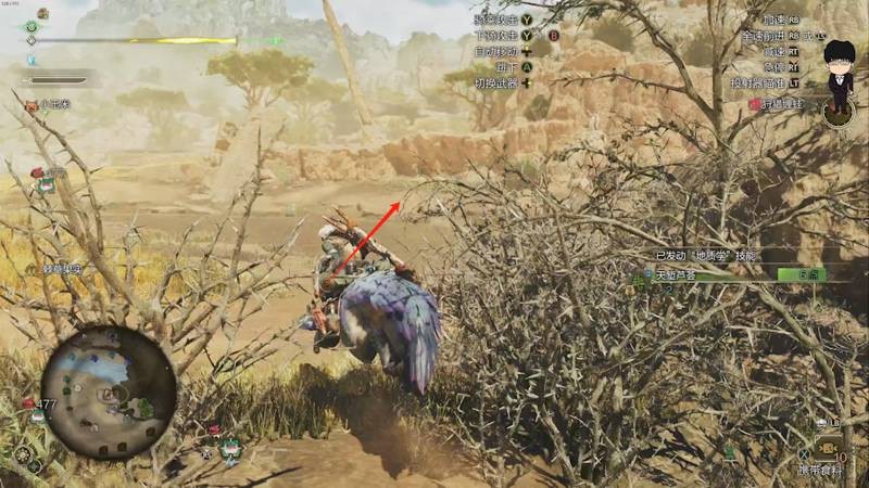 怪物獵人荒野眠草在哪里刷-怪物獵人荒野速刷眠草攻略