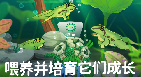池趣游戲