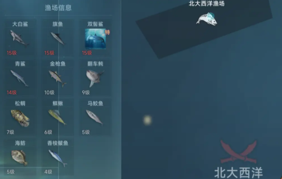 大航海時代傳說漁場魚類怎么分布-大航海時代傳說漁場魚類分布位置攻略