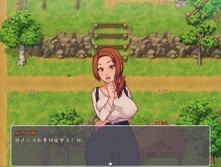 我的鄉村日常生活全人物版