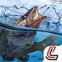 天天釣魚無限金幣最新版