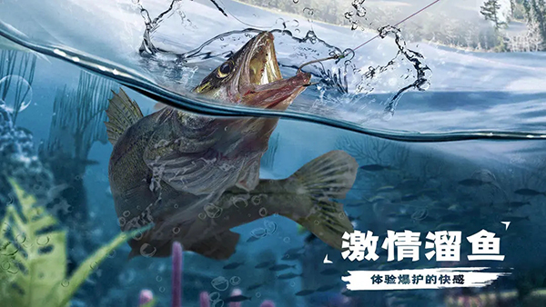 天天釣魚(yú)無(wú)限金幣最新版