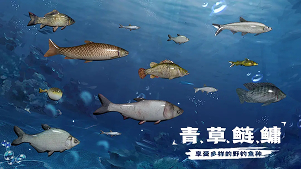 天天釣魚(yú)無(wú)限金幣最新版