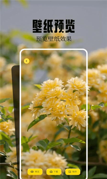 魔秀主題