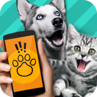 動物翻譯器中文版