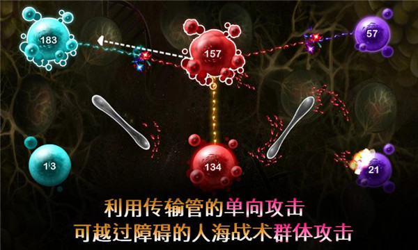 繁殖戰爭2中文版